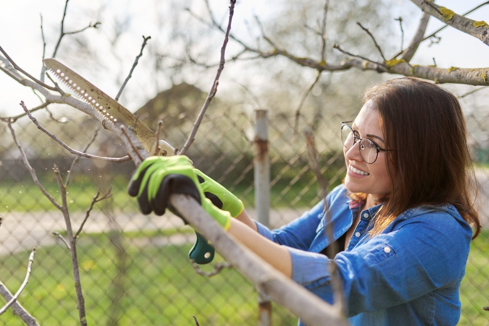Prace ogrodowe na wiosnę - plan działań krok po kroku 1 10529